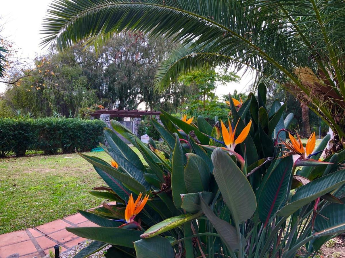 Puerto Banus Apartamento Flores Marbella Kültér fotó